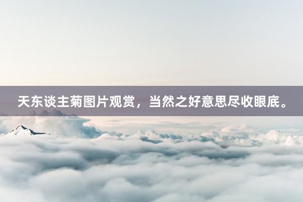 天东谈主菊图片观赏，当然之好意思尽收眼底。