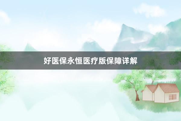 好医保永恒医疗版保障详解