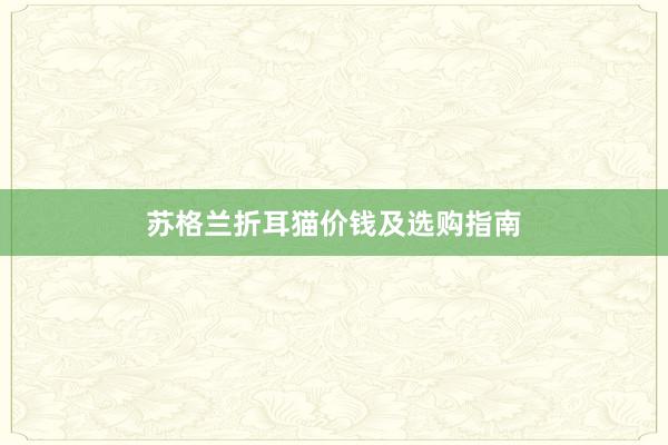 苏格兰折耳猫价钱及选购指南