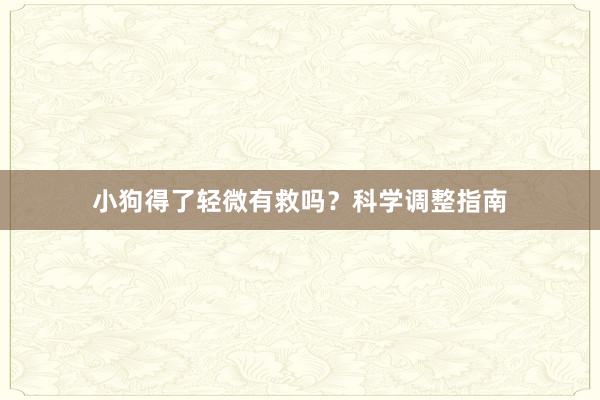 小狗得了轻微有救吗？科学调整指南